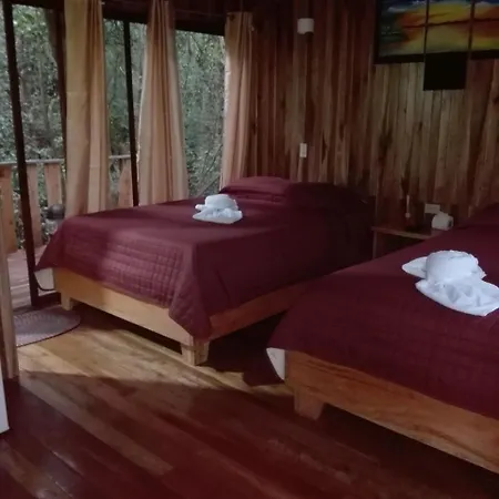 The Green Tree Lodge-2